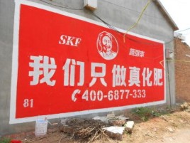 凌云刷墙广告”蕴含了时代命题