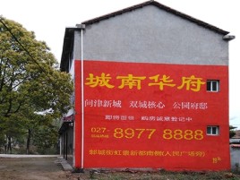 凌云百分之90的人都不了解的农村墙体广告