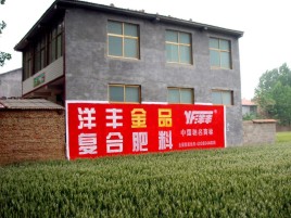 凌云如何让墙体广告展现最大化效果