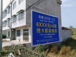 凌云墙体广告质量分析