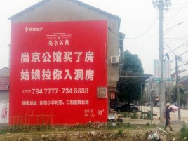 凌云墙体广告在乡镇、农村市场的媒体优势