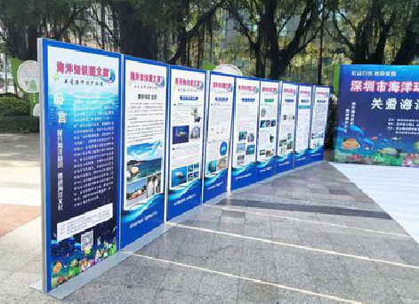 凌云KT板的种类和知识。